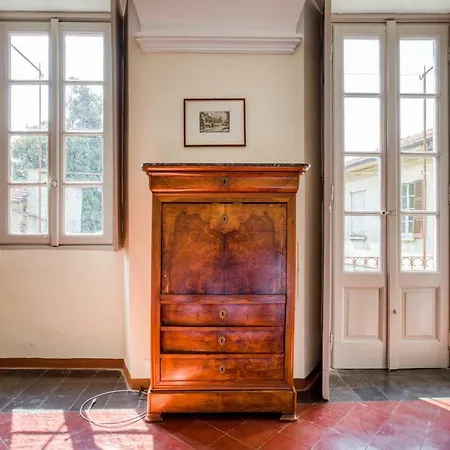 Galli * 시티글리오