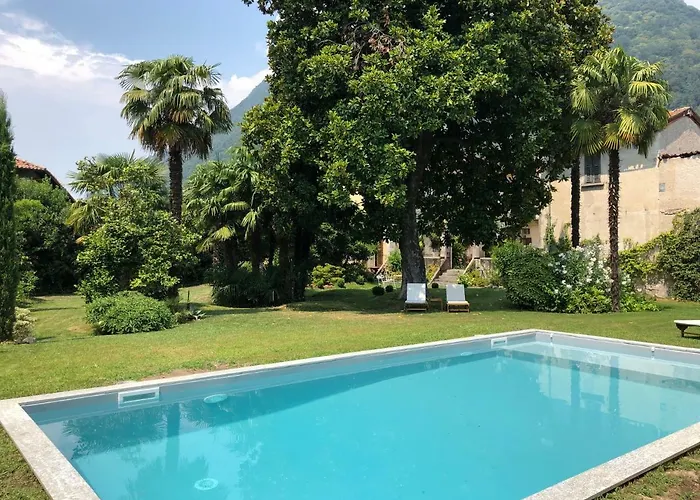 Galli * 시티글리오