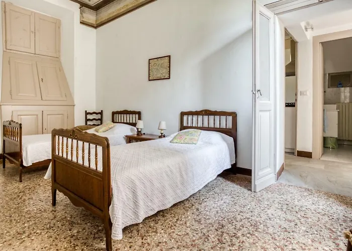 Galli * 시티글리오