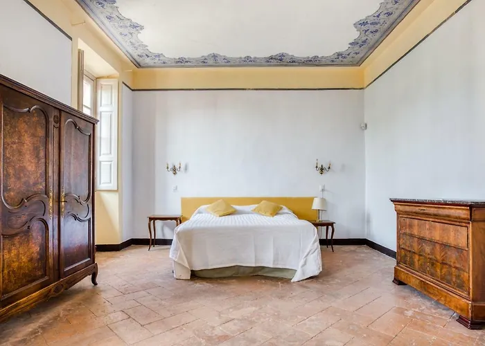 Galli * 시티글리오